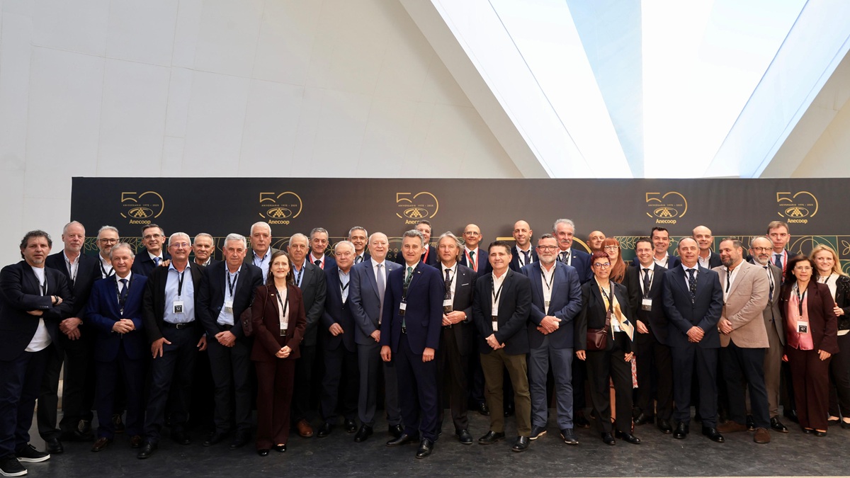 Consejo Rector y Comité de Dirección.jpeg